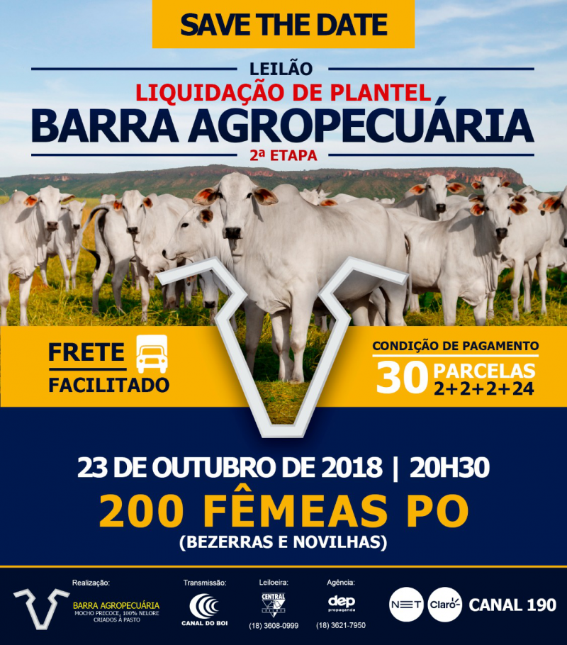 Leilão Liquidação de Plantel Barra Agropecuária - 2ª ETAPA